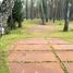 Katiņa, PSRS nogalināto poļu karavīru kapi