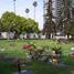 Los Angeles, Westwood Village Memorial Park