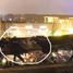Трагедия Золитуде - обрушилась крыша супермаркета Maxima в Риге - 54 человека погибли
