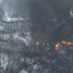 Starcia w Kijowie 22.01.2014