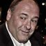 James Gandolfini, Jr.