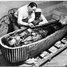 Brytyjski archeolog Howard Carter odkrył grobowiec egipskiego faraona Tutanchamona