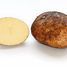Pirmo reizi minēts fakts par kartupeļu ievešanu Anglijā no Kolumbijas 