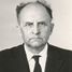 Vladimir  Efroimson