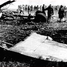 Katastrofa lotu American Airlines 191: 271 osób na pokładzie i dwie na ziemi zginęły, gdy samolot McDonnell Douglas DC-10 rozbił się krótko po stracie na polu kempingowym w Chicago