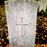 Jelgava, Britu Savienības 1. Pasaules kara karavīru kapu sektors Miera (Nikolaja) kapos