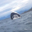 Kanādā nogrimst vaļu vērotāju kuģis