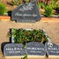 Praulienas pagasts, Vistiņlejas kapsēta