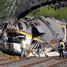Spānijā, netālu no Bigo no sliedēm noskrējis pasažieru vilciens, vismaz 3 bojāgājušie