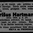 Krišus Hartmanis