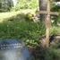 Antakalnio kapinės  (buv. Karių kapinės) 