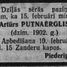 Artūrs Putnaērglis