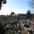 Le cimetière de Tama Reien, Tokyo