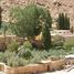 Монастырь Святой Екатерины на горе Синай