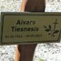 Aivars Tiesnesis