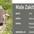 Amālija Zaķīte