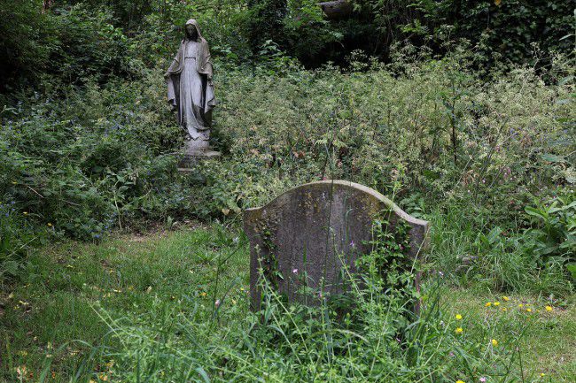 Mill Road Cemetery