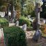 Kriegerfriedhof Nr 346 Krynica (de)