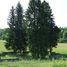 Ropica Ruska,cmentarz wojenny nr 67