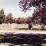 Alta Mesa Memorial Park, Palo Alto, kapi, kapsēta