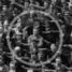 August Landmesser