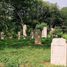 Baligród, Jewish cemetery (pl)