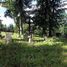 Binarowa (gm. Biecz), cmentarz wojenny nr 110