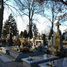Brdów (gm Babiak), parish cemetery (pl)
