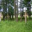 Czarne (gm. Sękowa), War cemetery Nr 53 (pl)