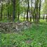 Dukla, Jewish cemetery (pl)