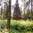 Gładyszów, cmentarz wojenny nr 55