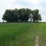 Głogowiec (gm. Nowosolna), cmentarz ewangelicki