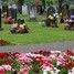Huntingdon, Primrose Lane Lawn Cemetery