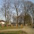 Justynów (gm Andrespol), cmentarz ewangelicki