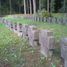 Ķekavas pagasts, Pirmā pasaules kara vācu kareivju kapi