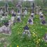 Kriegerfriedhof Nr 361 Krasne-Lasocice (de)