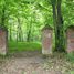 Mikołajów (gm. Rokiciny), cmentarz ewangelicki