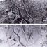 Atombombenabwürfe auf Hiroshima und Nagasaki
