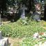 communal cemetery