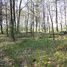Pawłowa (gm. Zelów), cmentarz ewangelicki