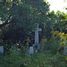 Poland, Kriegerfriedhof Nr 330 Podłęże (de)
