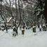 Prague, Cemetery