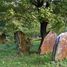 Rymanów, cmentarz żydowski (kirkut)