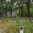 Kriegerfriedhof Nr 196 Rzuchowa (de)