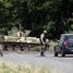 Slovjanska: lai atbrīvotu pilsētu no krievu teroristiem, Ukraina spiesta izmantot tankus