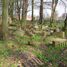 Gmina Szprotawa, Jüdischer Friedhof (de)