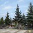 Torun, Central Municipal Cemetery (pl)