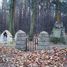 Waryś (gm. Borzęcin), WWI cemetery Nr 267 (pl)