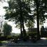 Wieliczka, cmentarz wojenny nr 381