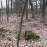 Zabłoty (gm. Zelów), cmentarz ewangelicki